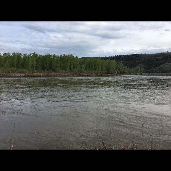 Meet your Posher, Lauren - Picture 1 of 1